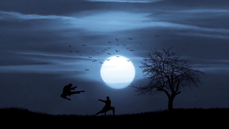 Tai Chi Sword Practice